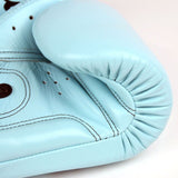 Fairtex Pastel Blue Muay Thai Boxing Gloves BGV20