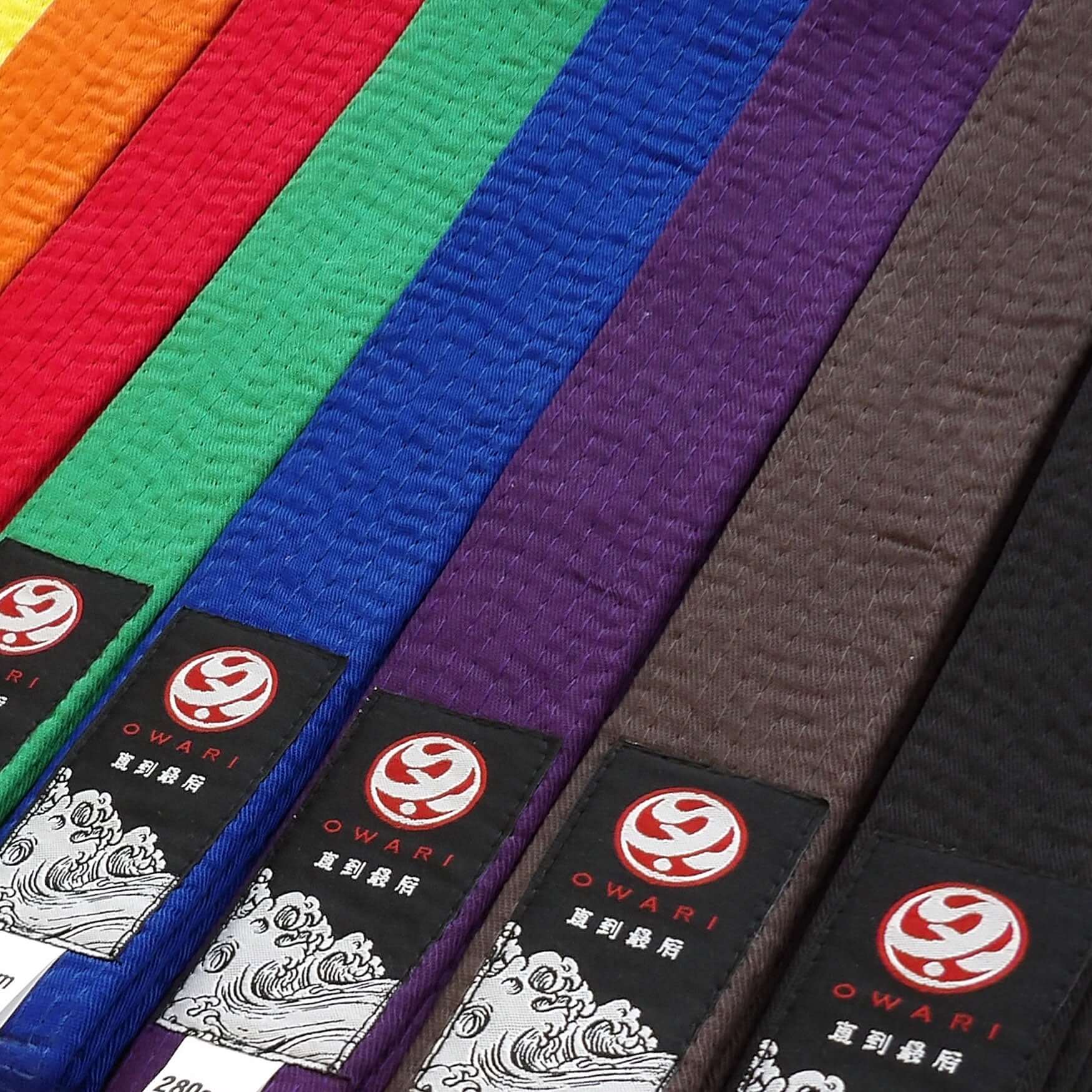 Owari Karate Martial Arts Belt